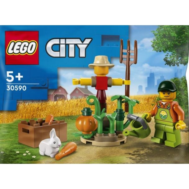 Farm Garden & Scarecrow